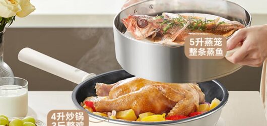 Bear Electric Woks: Bringing Authentic Stir-Fry Convenience to Your Home Kitchen